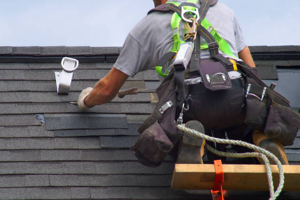 Best Solar Panel Roofing Installation  in Prairie City, IA