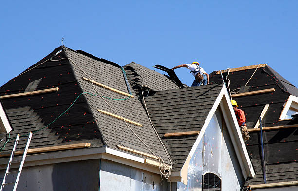 Best Roof Moss and Algae Removal  in Prairie City, IA